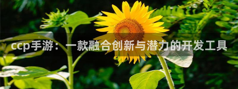 三牛娱乐是网络诈骗平台吗知乎：ccp手游：一款融合创新与潜力