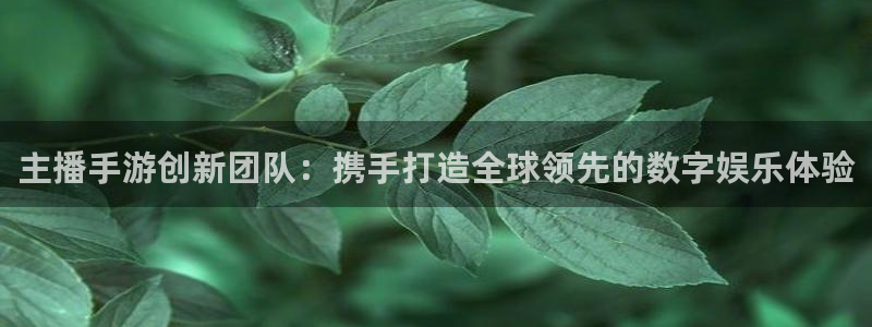 买三牛：主播手游创新团队：携手打造全球领先的数字娱乐体验