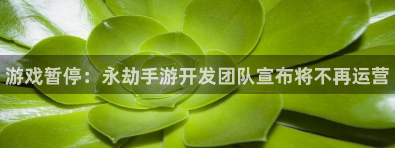 三牛娱乐负责人：游戏暂停：永劫手游开发团队宣布将不再运营