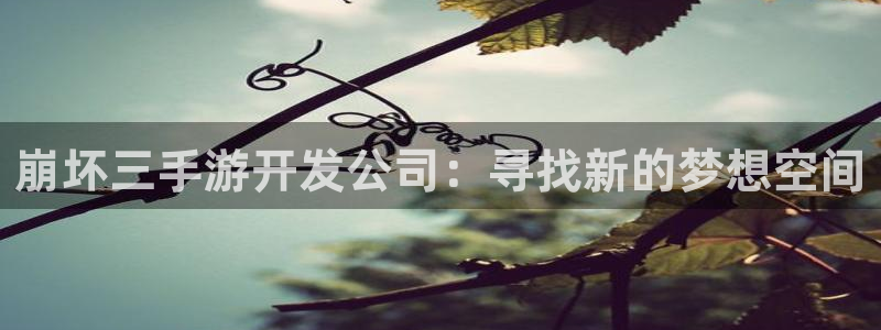 三牛娱乐登录：崩坏三手游开发公司：寻找新的梦想空间