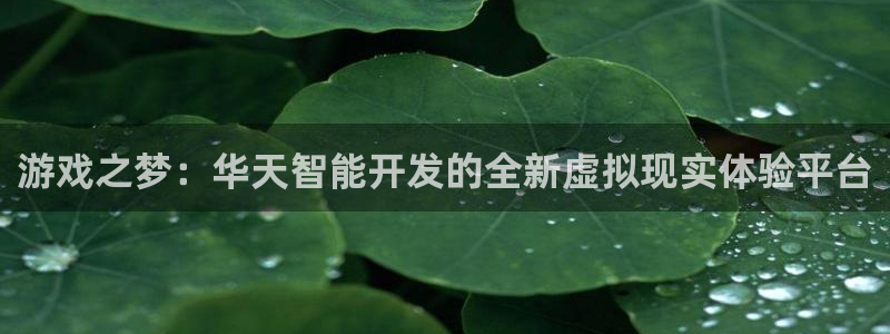 江苏三牛：游戏之梦：华天智能开发的全新虚拟现实体验平台