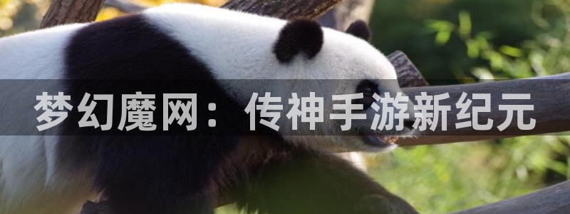 三牛娱乐管网客服电话：梦幻魔网：传神手游新纪元