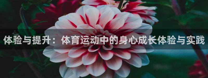 ug环球官网注册