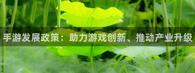 三牛娱乐官网登录入口下载苹果：手游发展政策：助力游戏创新、推